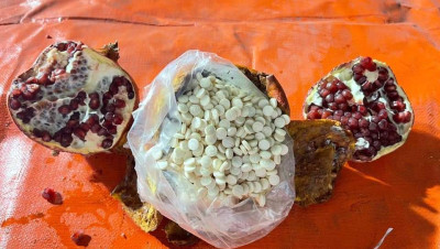 مخدرات "حـزب الله" تدخل السعودية عبر "الرمان" والأخيرة تتخذ قرارا (صور)