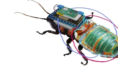 "الصرصور الإلكتروني".. ابتكار صيني متعدد المهارات (فيديو)