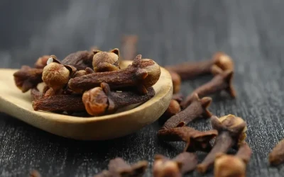 حبة قرنفل يوميًا.. تحسن صحة القلب وتُنظّم الكوليسترول