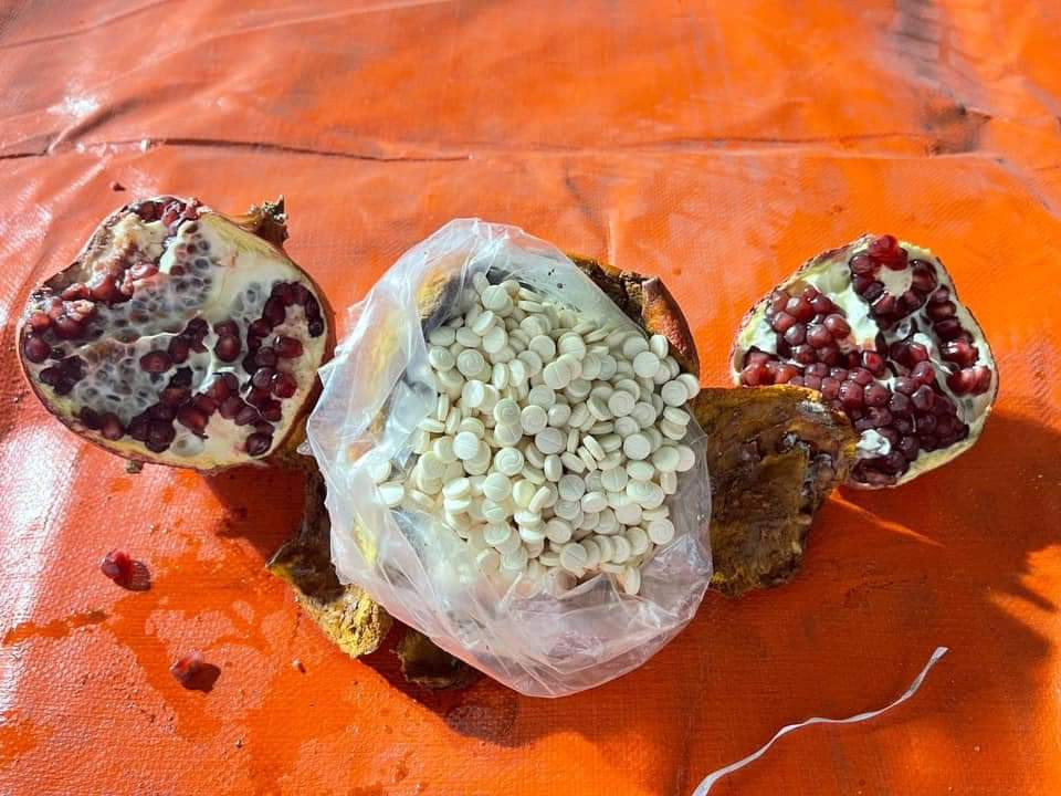 مخدرات "حـزب الله" تدخل السعودية عبر "الرمان" والأخيرة تتخذ قرارا (صور)