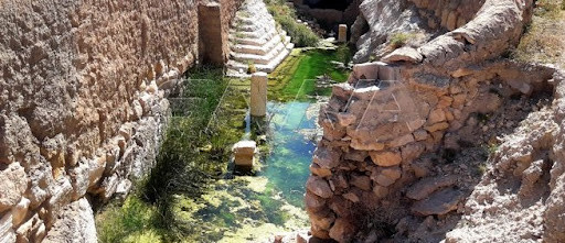 الحرس الثوري الإيراني يحرم سكان تدمر من مياه الشرب