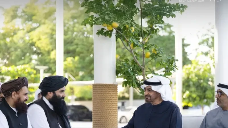 رئيس الإمارات يستقبل وزير الداخلية الأفغاني