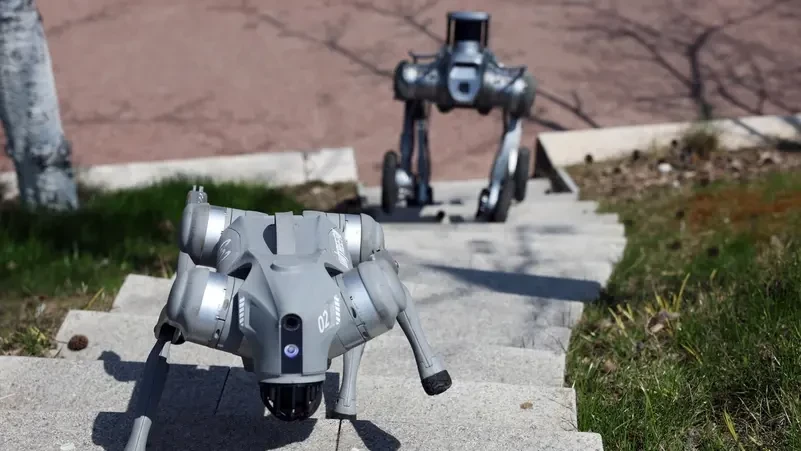 الصين تراهن على ديب سيك.. وتطوّر كلاباً ومسيرات ذكية